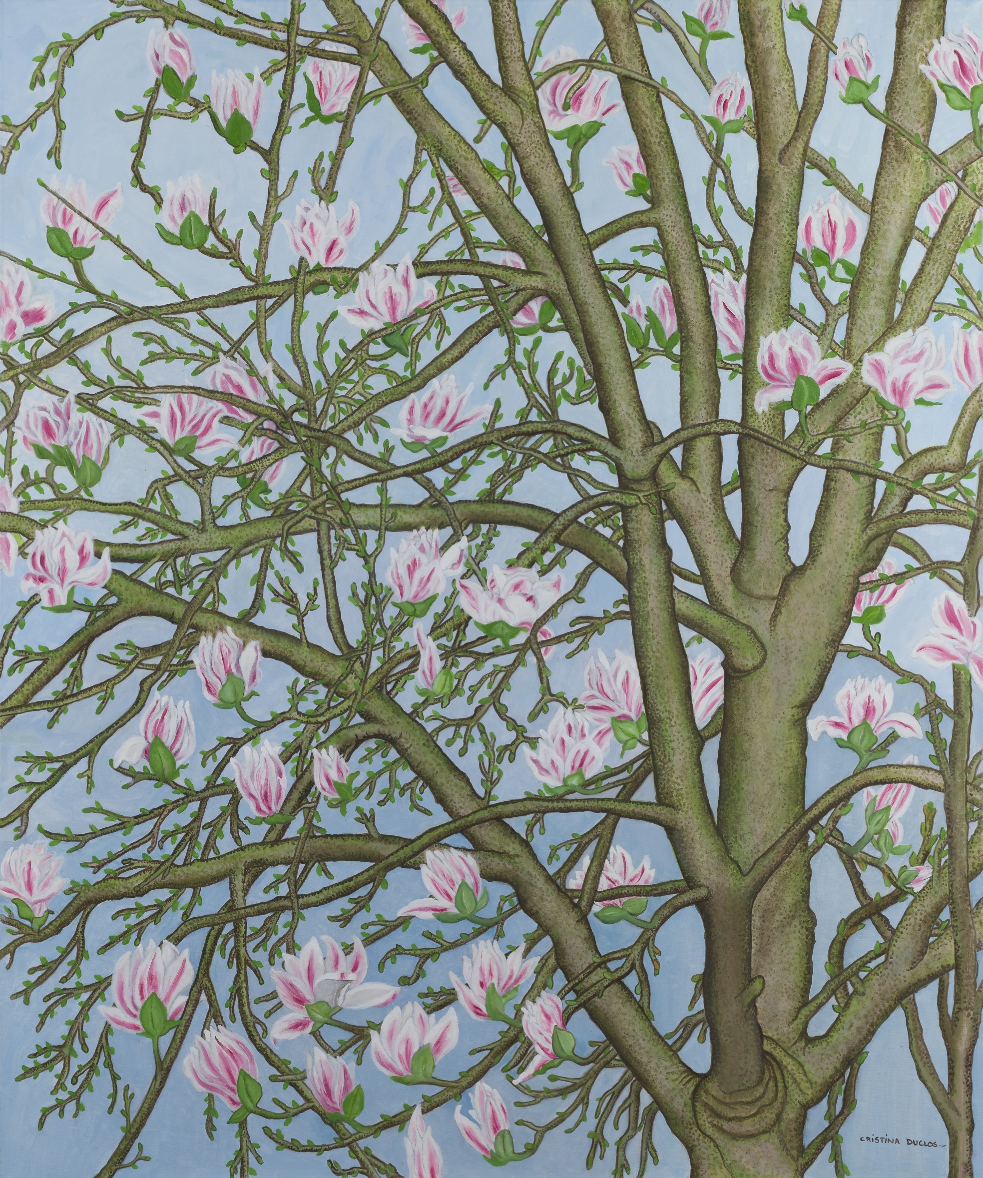 Imagen para artículo Descansa en paz Cristina Duclos