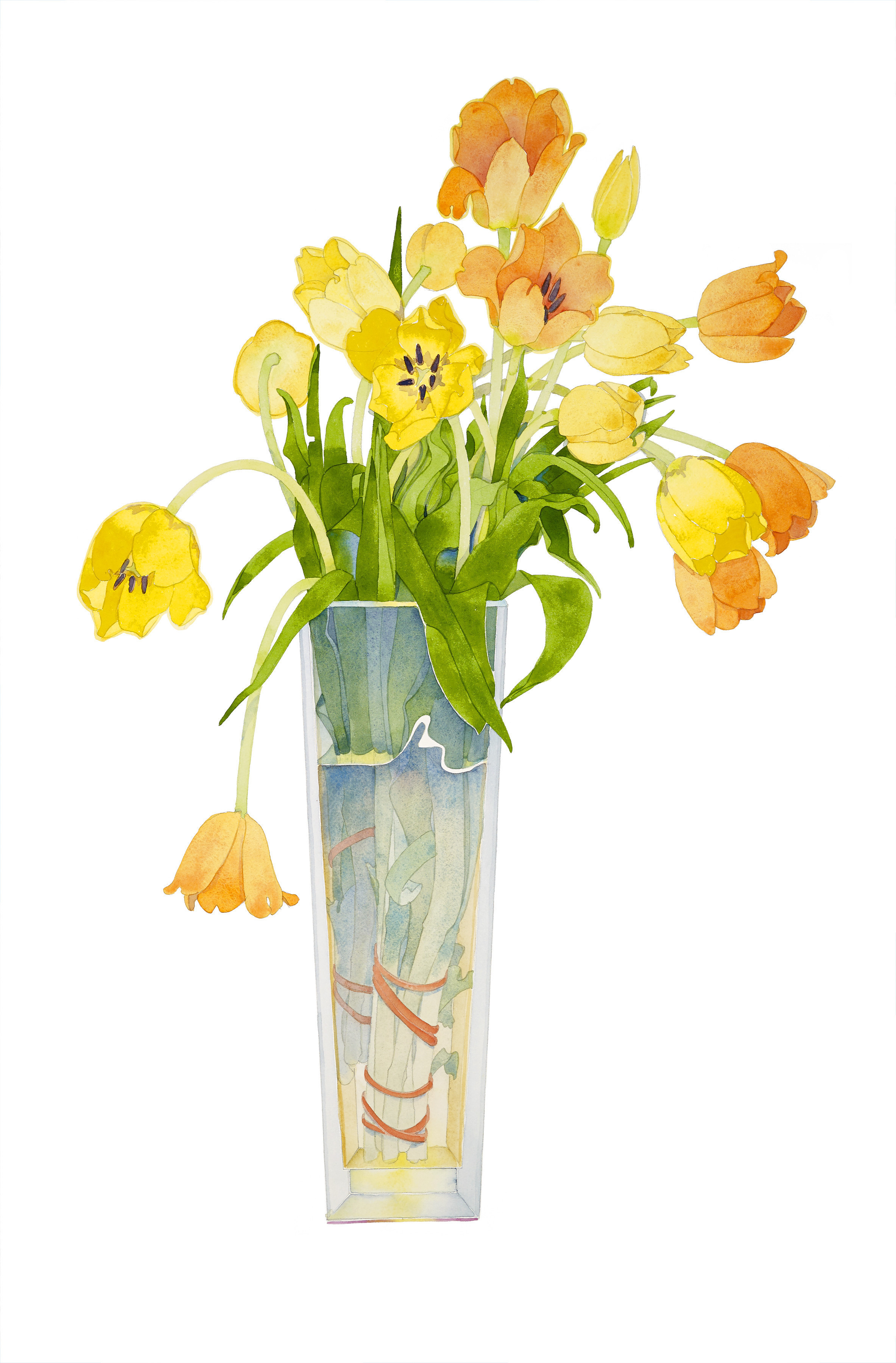 Bright tulips in a tall vase