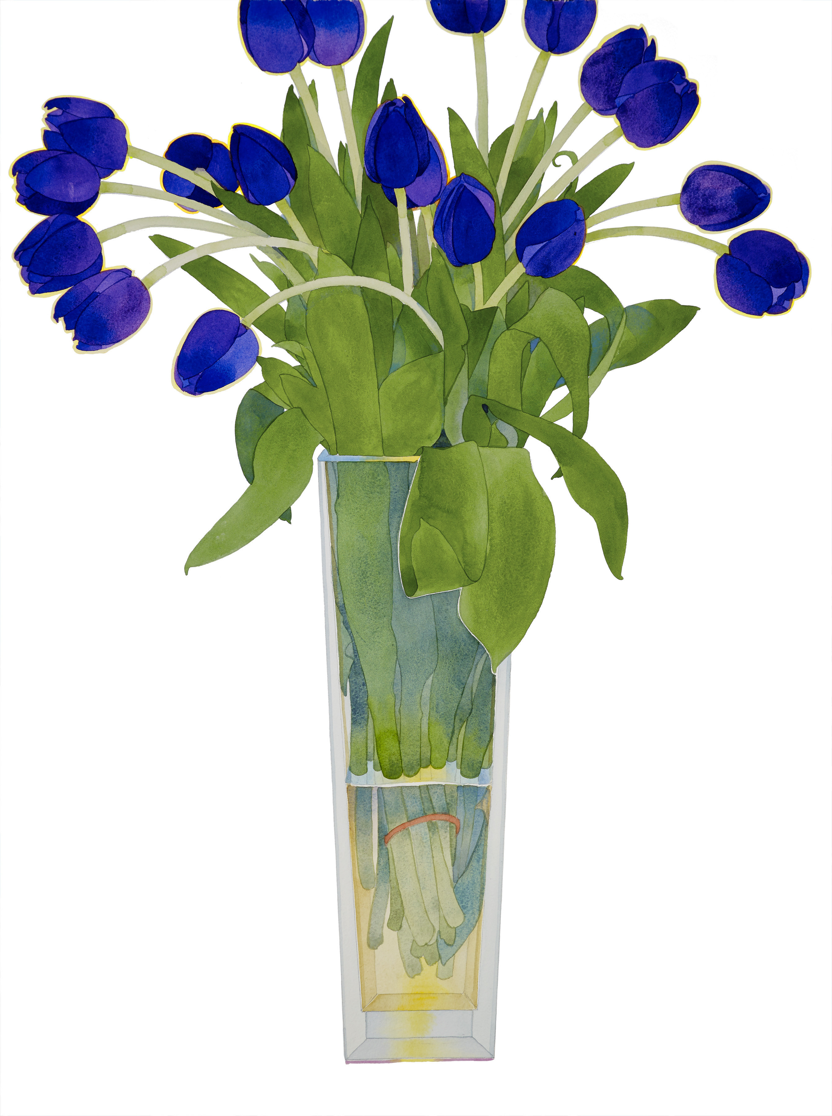 Blue tulips in a tall vase