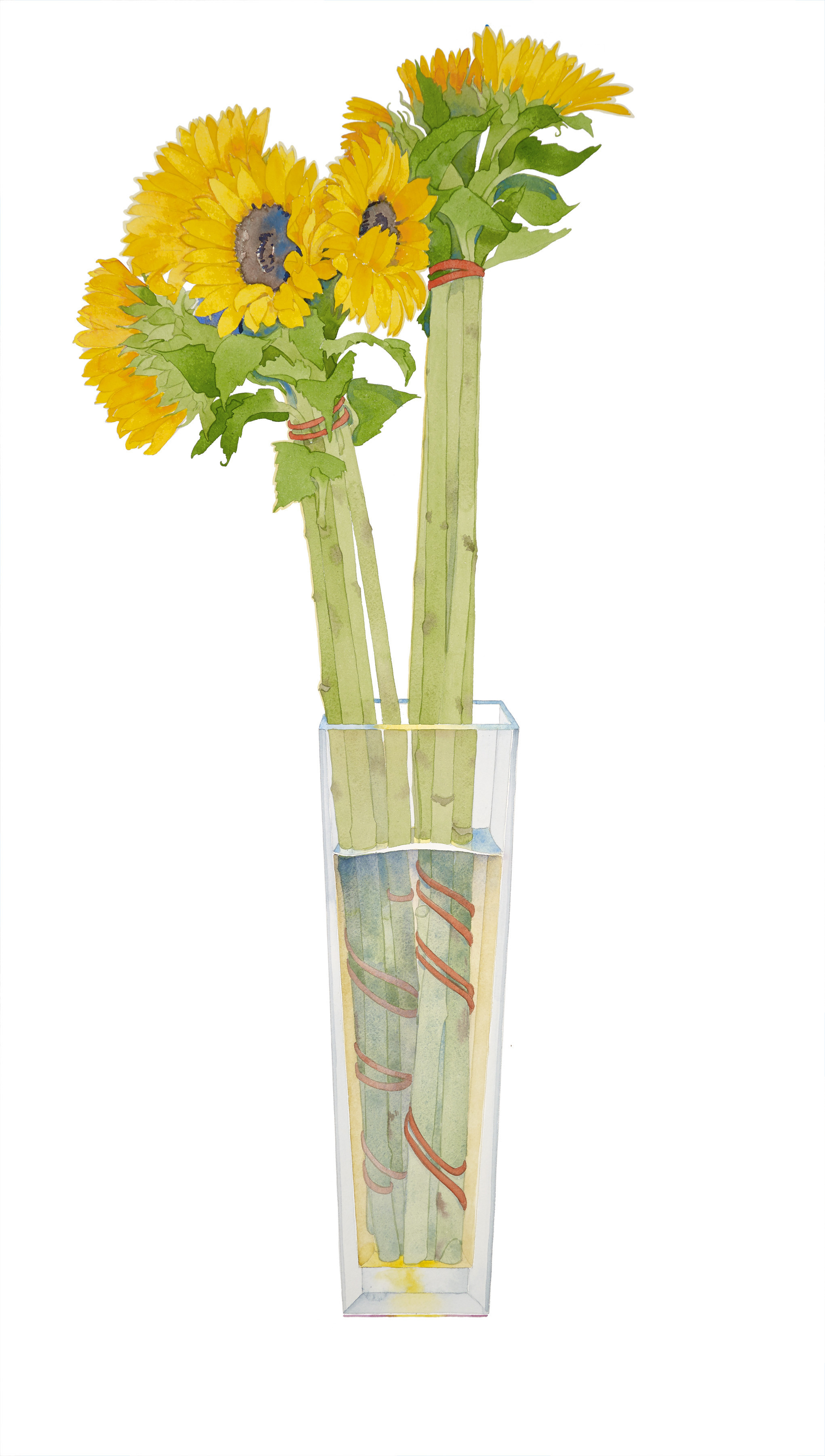 Sunflowers in a tall vase