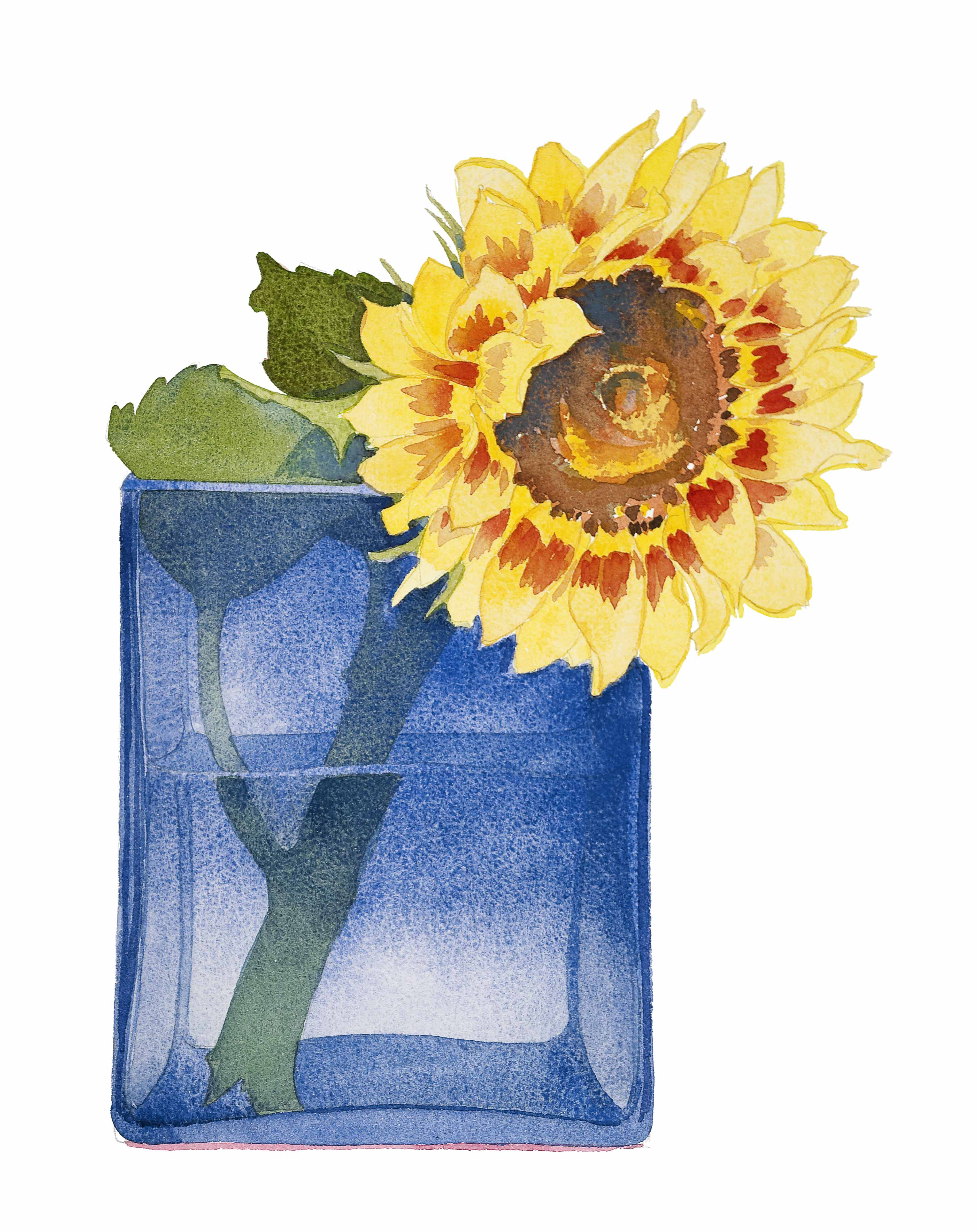 Sunflower in a blue vase