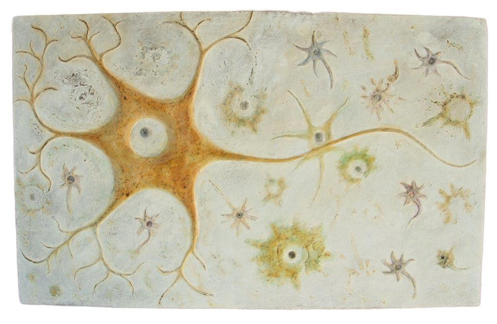 Neurona madre en su astroglía