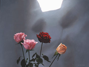 Rosas - Alwin van der Linde