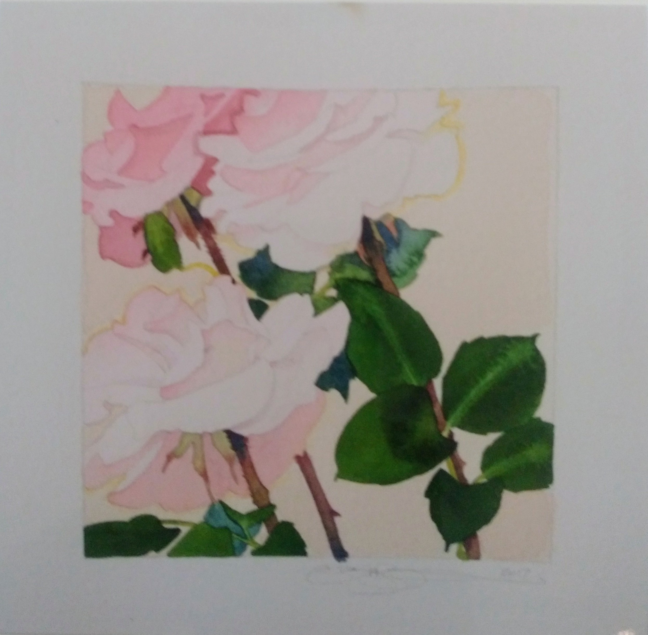 Pink rose study, 2018