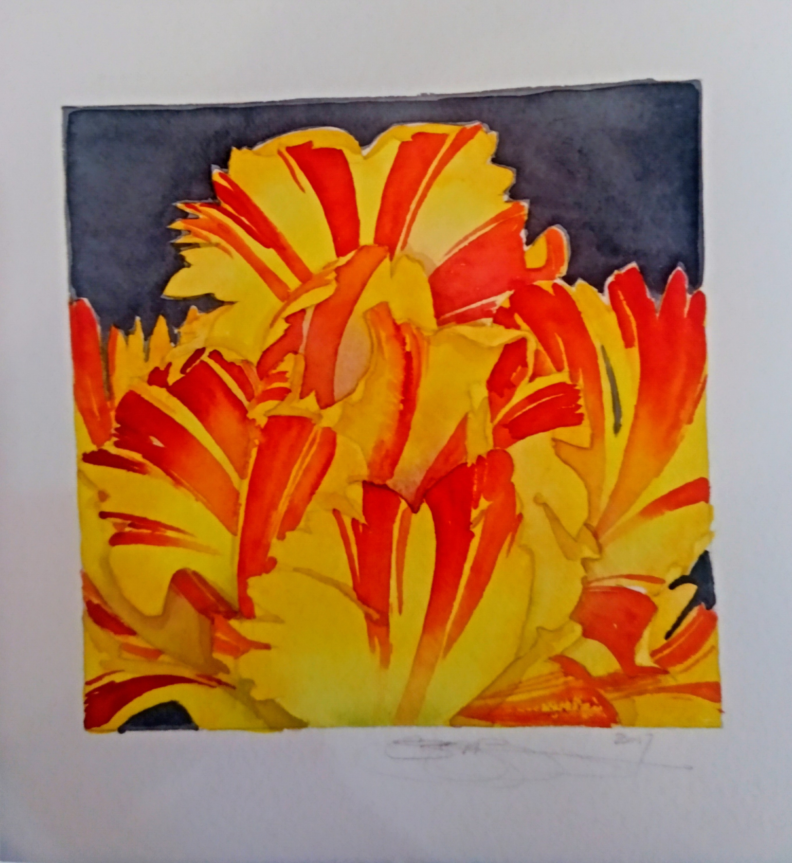 Yellow & Red Tulip Study, 2018
