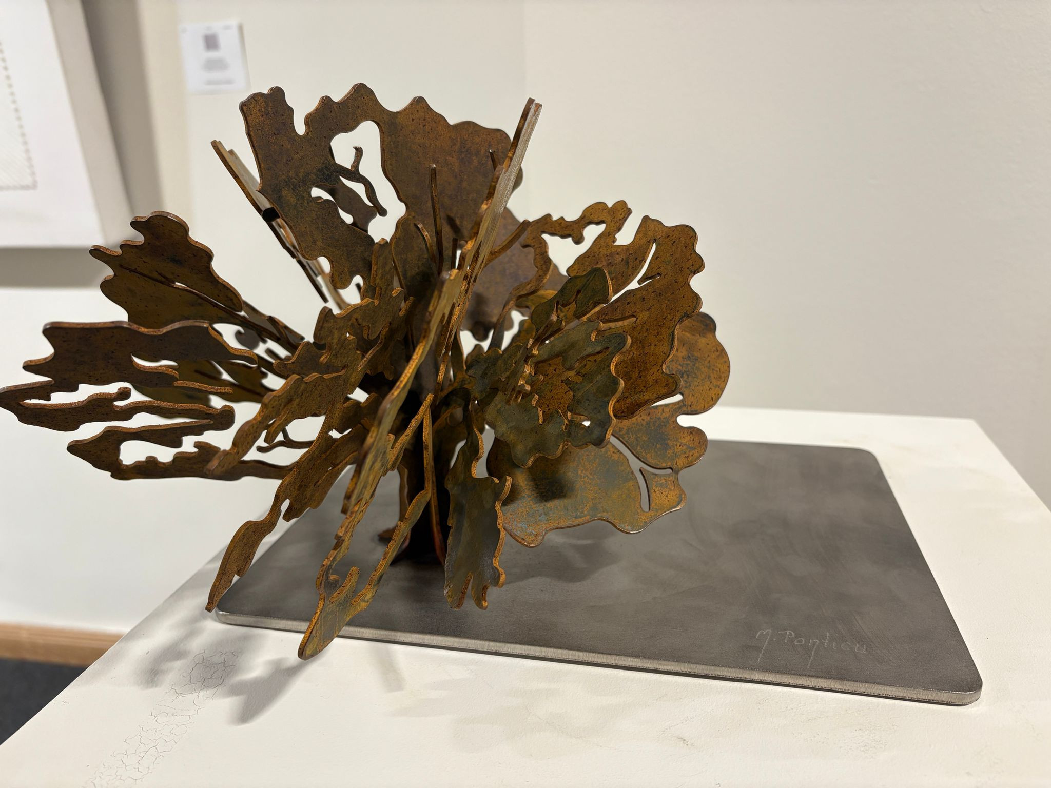 Roble