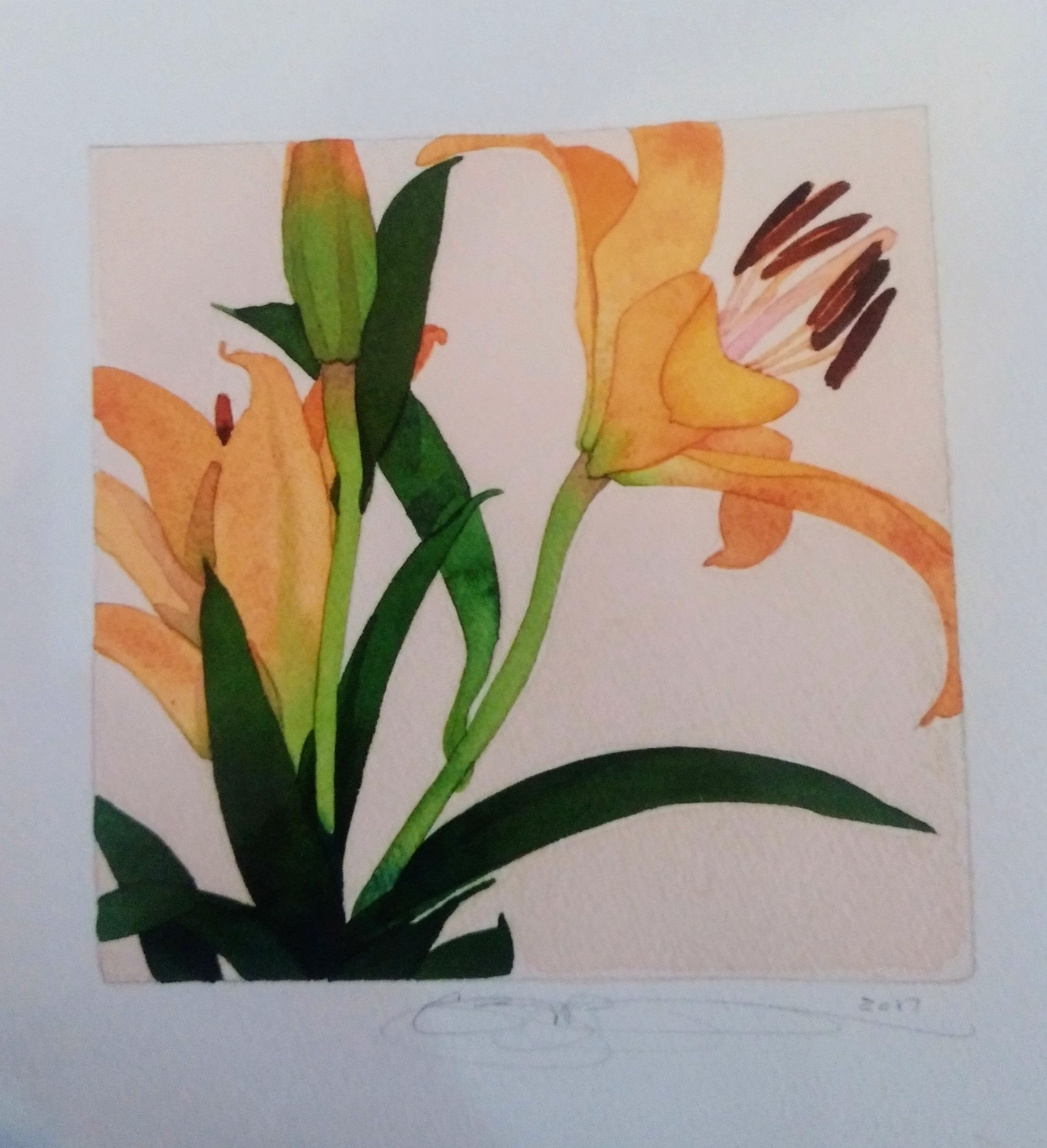 Orange Lily