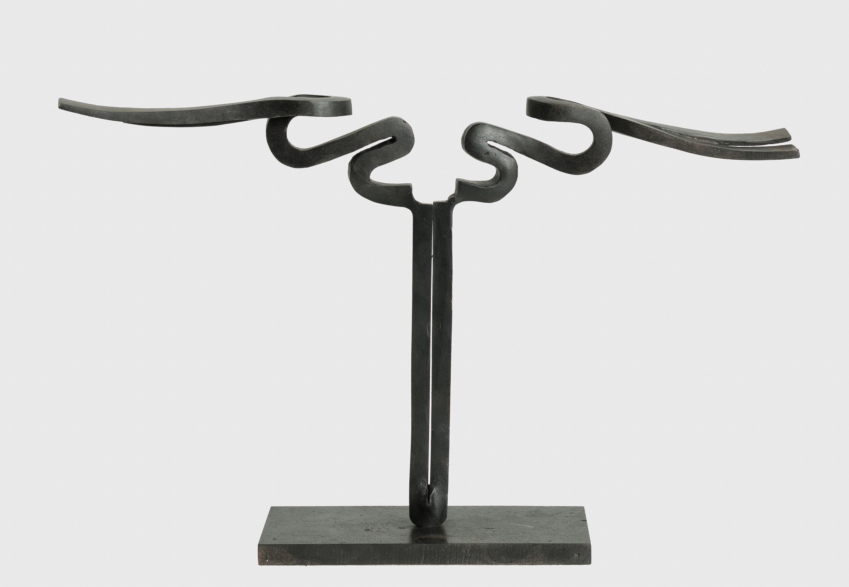 Árbol. La mirada del horizonte, 2005